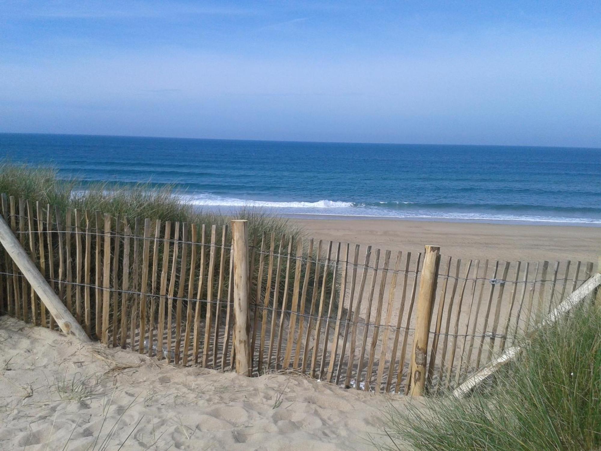 Gite "Rose Des Sables" - 800M De La Plage De Surtainville, Proche Commerces - Piscine En Juillet Et Aout Exteriér fotografie
